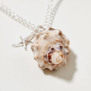 Beach Love Sea Shell Necklace close-up