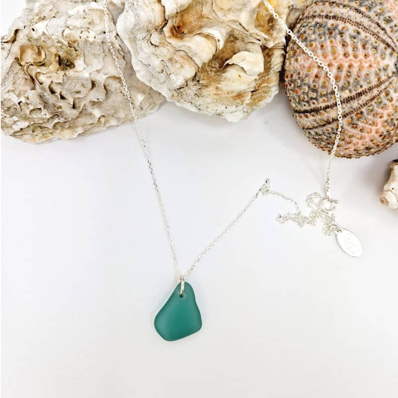 Callaina Sea Glass Necklace with sterling silver chain presented with sea shells